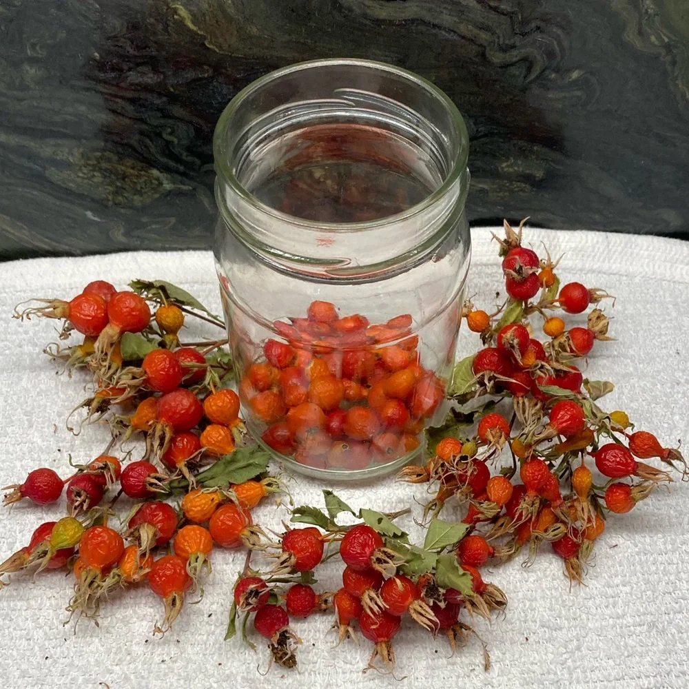 Wild Rose Hips Organic Hand Crafted Bath Soak Gift Jar New